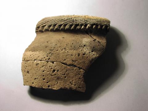 16th century agricultural pot rim