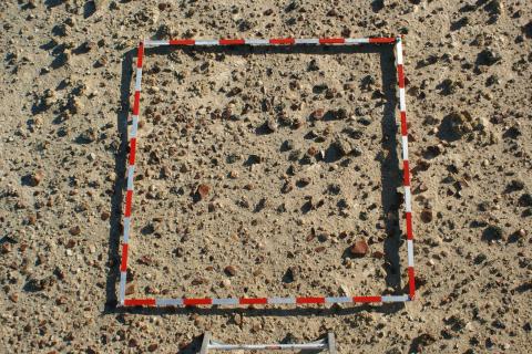 A dense scatter of late Pleistocene artefact debris