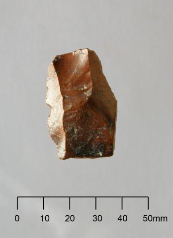 Late pleistocene artefact