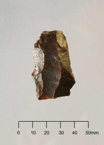 Late pleistocene artefact