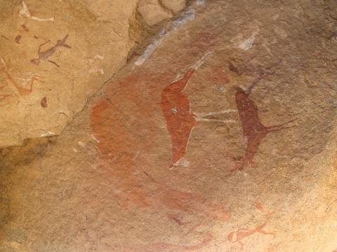 Painted bichrome and monochrome antelope
