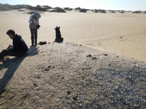 Typical large shell midden