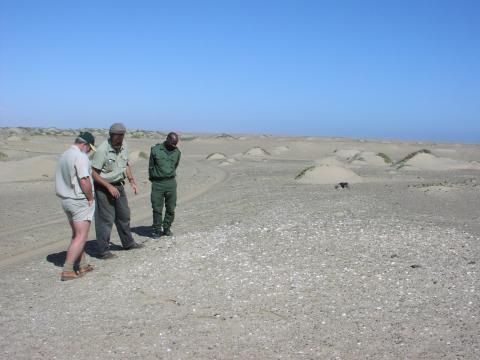 Typical small shell midden