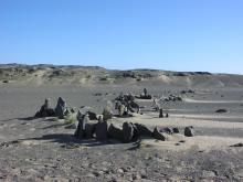 Cluster of windbreaks