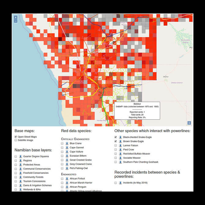 Birds & Powerlines interactive tool