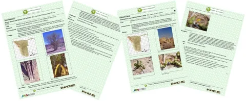 Info sheets