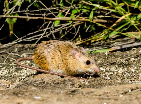 Photo: Morgan Hauptfleisch