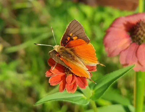 Photo: Alex Singleton