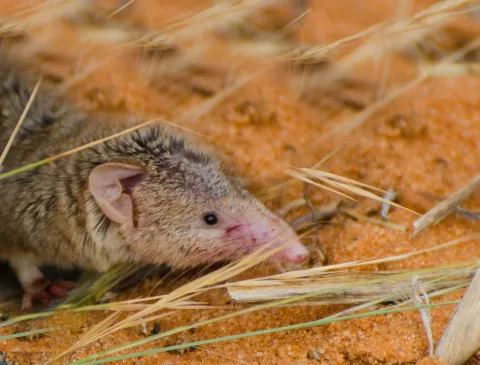 Photo: Morgan Hauptfleisch