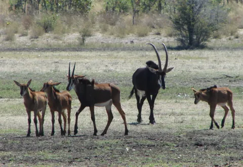 Photo: Annie Symonds