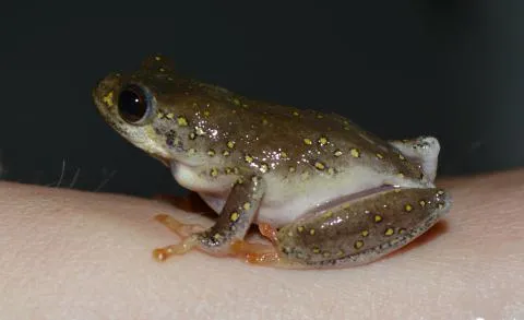 Photo: Francois Becker