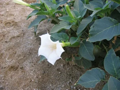 Photo: Coleen Mannheimer