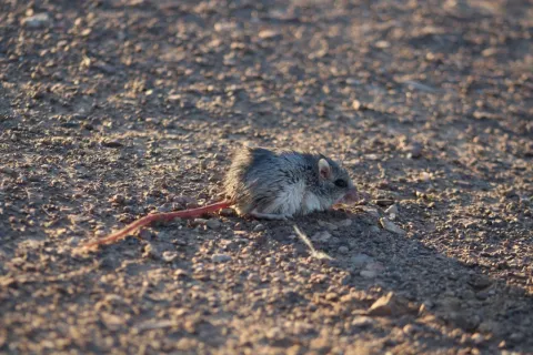 Photo: Matthew Walters