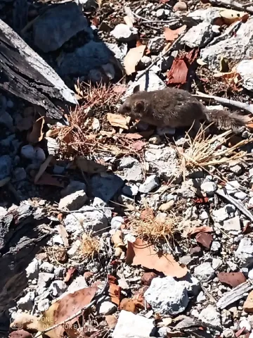 Photo: Sedney Amporo