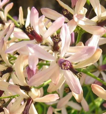 Photo: Coleen Mannheimer