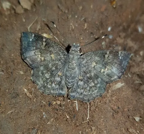 Photo: Alex Singleton