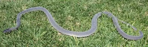 Photo: Francois Theart