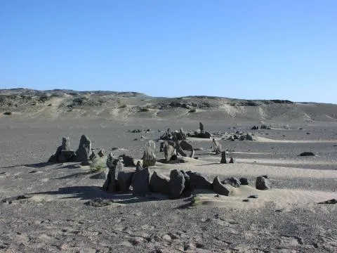 Cluster of windbreaks © Photo: J. Kinahan
