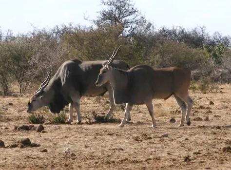 Photo: Matthew Walters