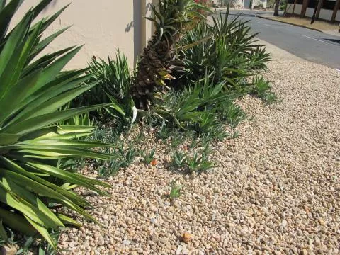 Photo: Coleen Mannheimer