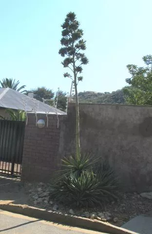 Photo: Coleen Mannheimer