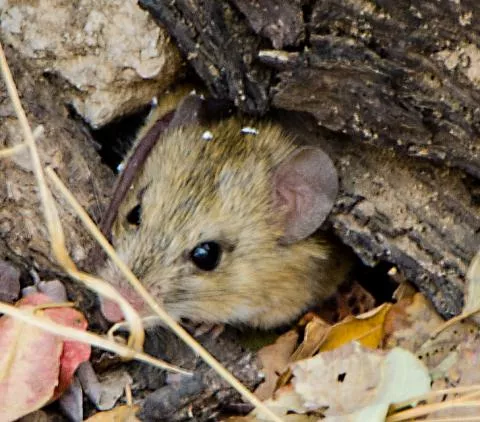 Photo: Morgan Hauptfleisch