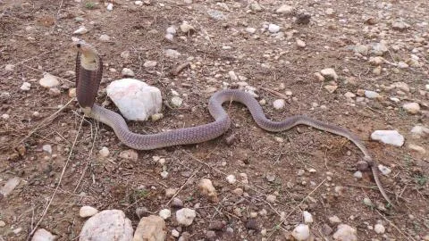 Photo: Francois Theart & Stuart Munro