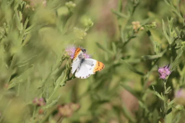 Photo: Matthew Walters