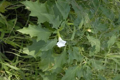 Photo: Coleen Mannheimer