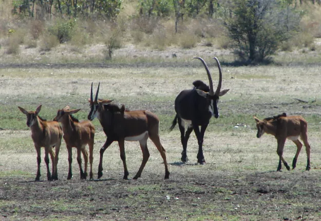 Photo: Annie Symonds