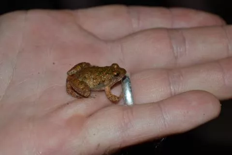 Photo: Francois Becker