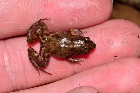 Photo: Francois Becker