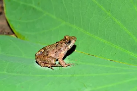 Photo: Francois Becker