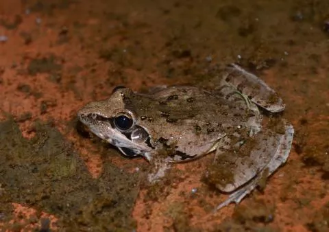 Photo: Francois Becker