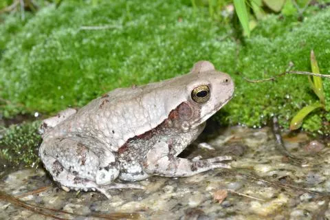 Photo: Francois Becker