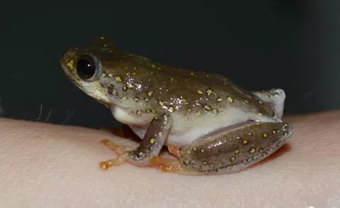 Photo: Francois Becker