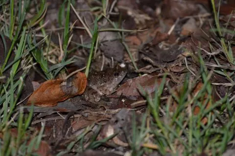 Photo: Francois Becker