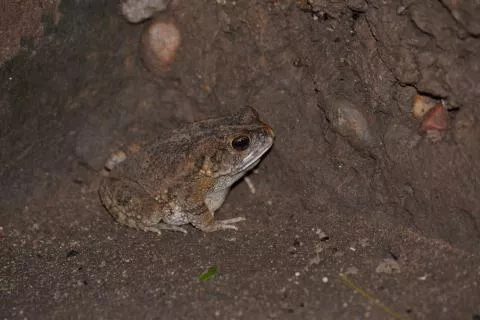 Photo: Francois Becker