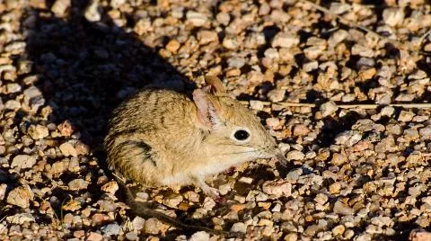 Photo: Morgan Hauptfleisch