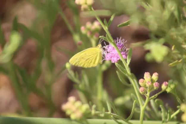 Photo: Matthew Walters