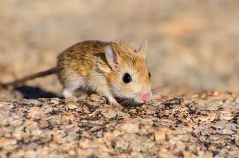 Photo: Morgan Hauptfleisch