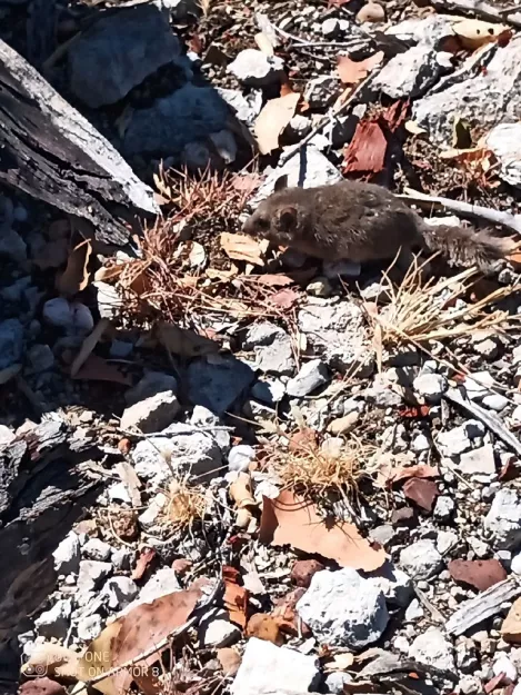 Photo: Sedney Amporo