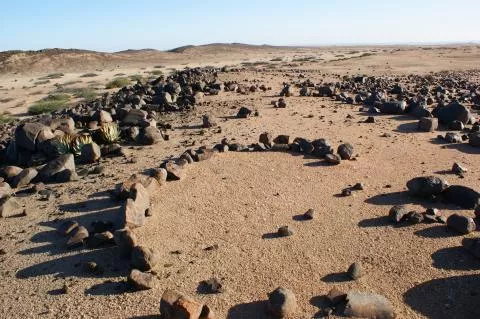 Holocene windbreak © Photo: J. Kinahan