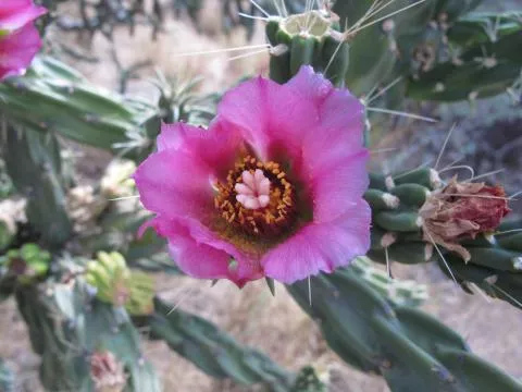 Photo: Coleen Mannheimer