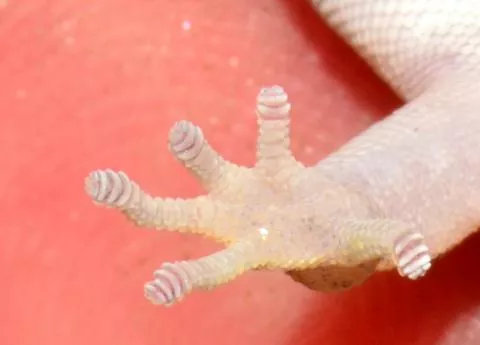 Photo: Francois Becker