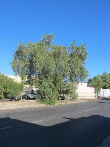 Photo: Coleen Mannheimer