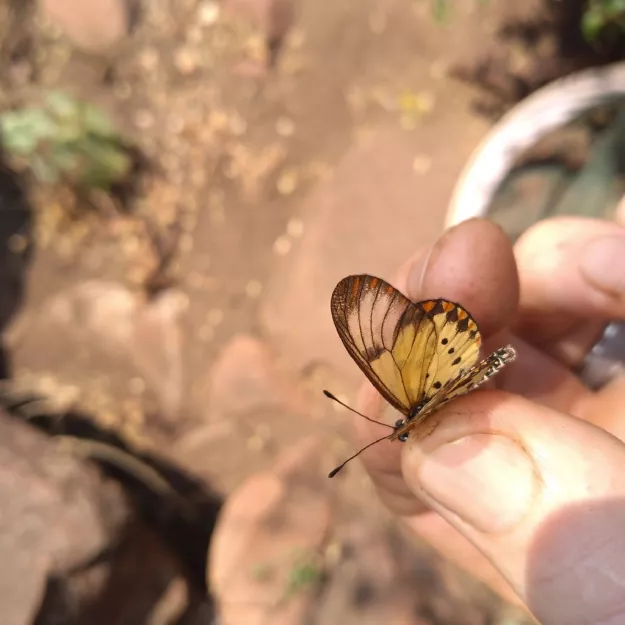 Photo: Alex Singleton