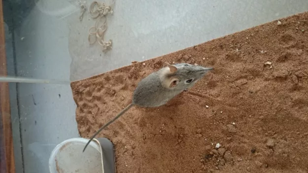 Photo: Matthew Walters