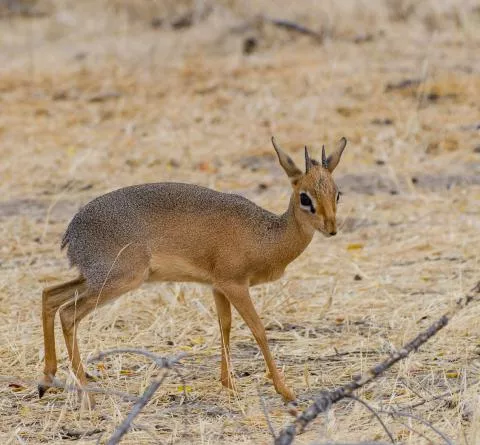 Photo: Morgan Hauptfleisch