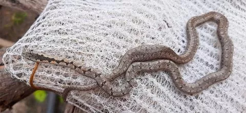 Photo: Beate Schwippert